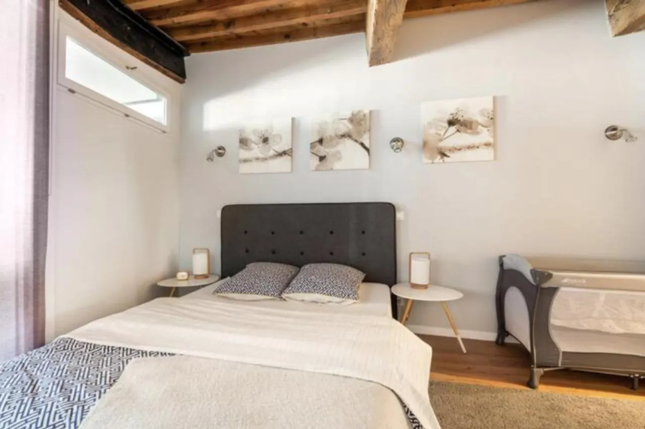 Appartement Au coeur de la vieille ville Annecy